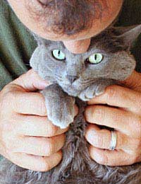 Pet Care Animal Home Companion Dogs Cats